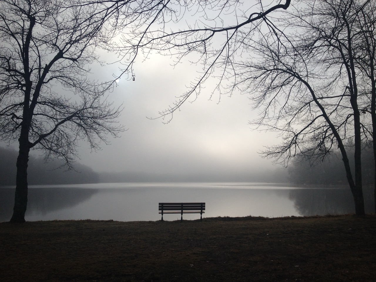 The Lonely Bench, Black & White